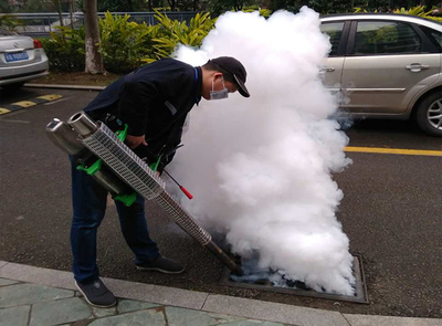 福州白蚁防治全面指南 方法与服务详解