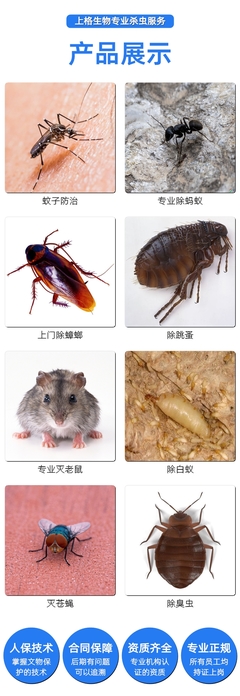 大影院灭鼠服务价格概览及综合害虫防治指南