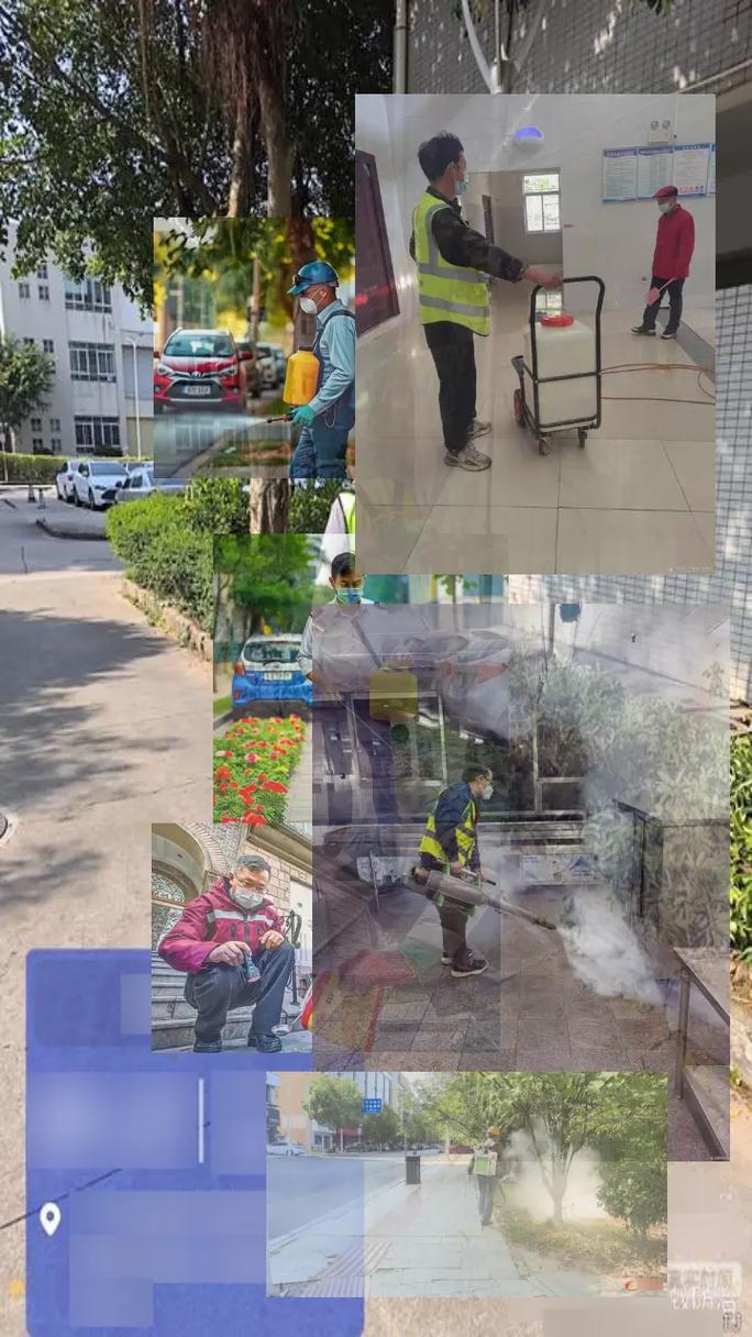 襄阳市襄城区专业白蚁防治服务电话与防治指南