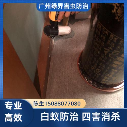 2026年焕新:热门的花都厂房白蚁防治服务商推荐