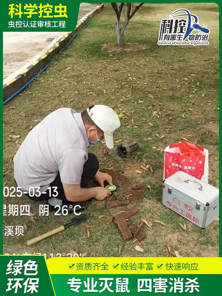 科控灭鼠,白蚁防治消杀 粉丝 39 获赞 663 关注 佛山三水工厂消杀