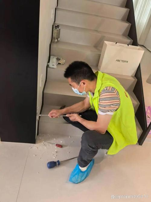 泰顺县白蚁防治服务站机构总机及白蚁防治服务全面指南